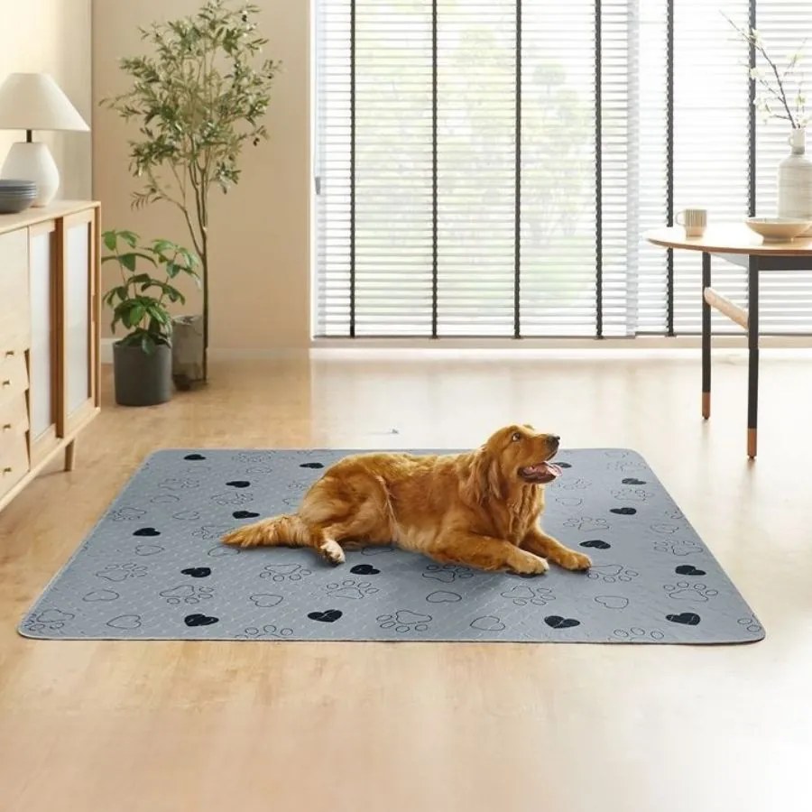 Tapete para cachorros, laváveis, 183 x 183 cm, conjunto de 2, tamanho XXL Cinzento