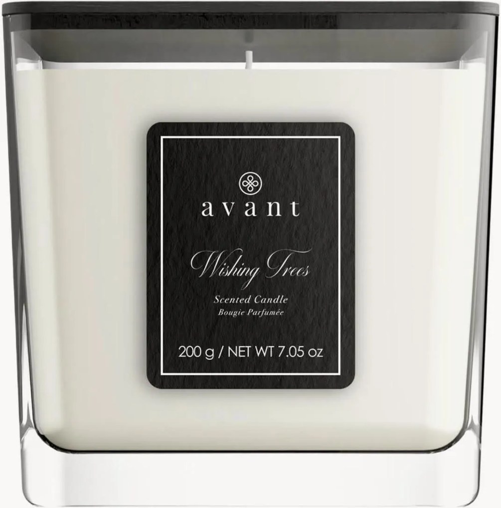 Vela perfumada Wishing Trees (bergamota, flores silvestres, groselha preta)