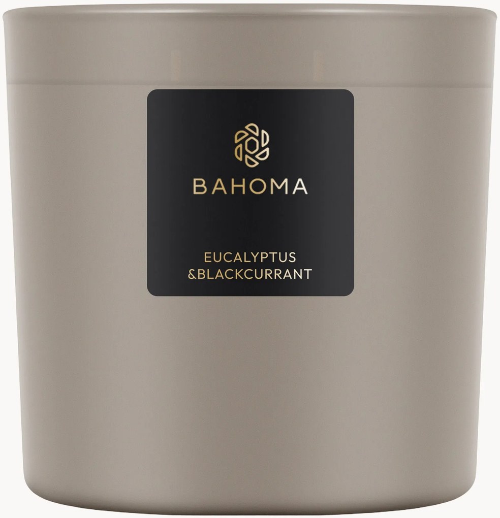 Vela perfumada com três pavios Eucalyptus & Blackcurrant (frésia, gardénia, almíscar)