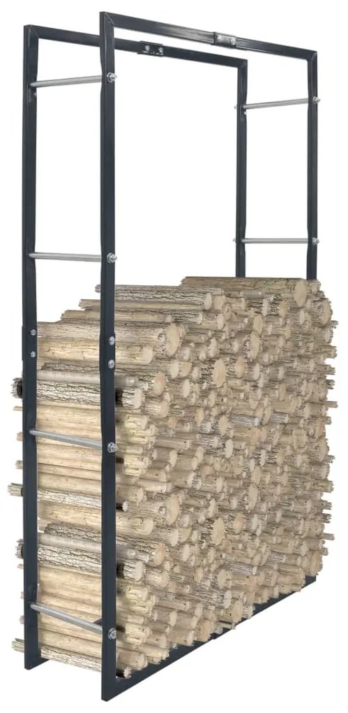 286289 vidaXL Suporte para lenha 80x25x150 cm aço preto