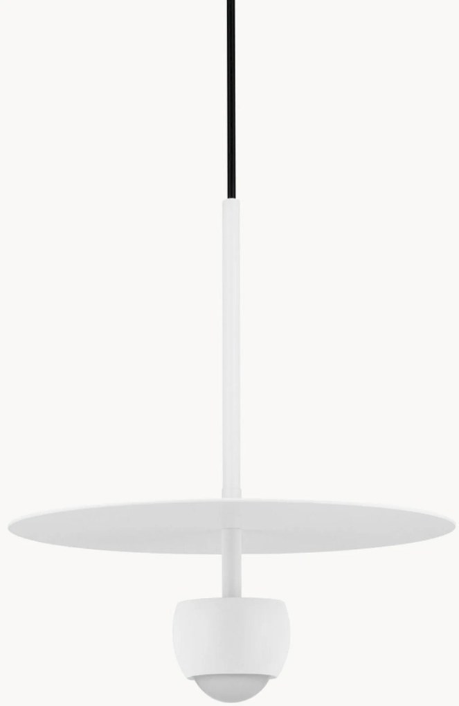 Candeeiro suspenso LED Edem