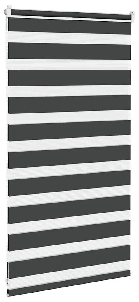 Cortina de zebra 80x100 cm largura do tecido 75,9 cm poliéster