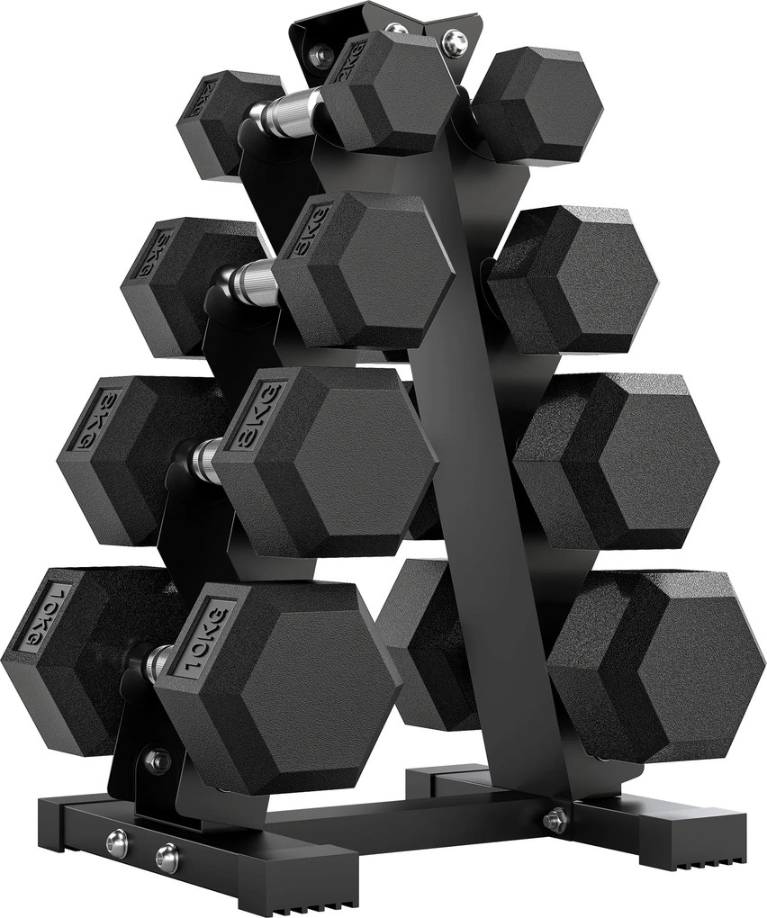 Conjunto de Halteres 2x2kg 2x5kg 2x8kg 2x10kg com Suporte de Armazenamento para Exercício Treino Preto