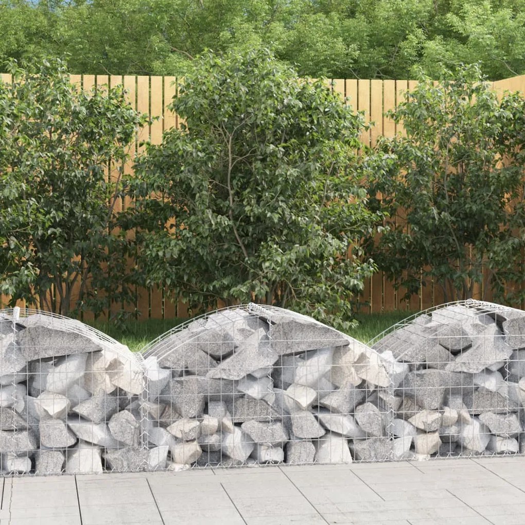 153432 vidaXL Cesto gabião arqueado 100x50x40/60 cm ferro galvanizado
