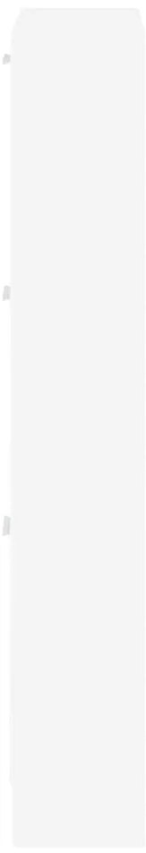 Sapateira 59x17x108 cm derivados de madeira branco