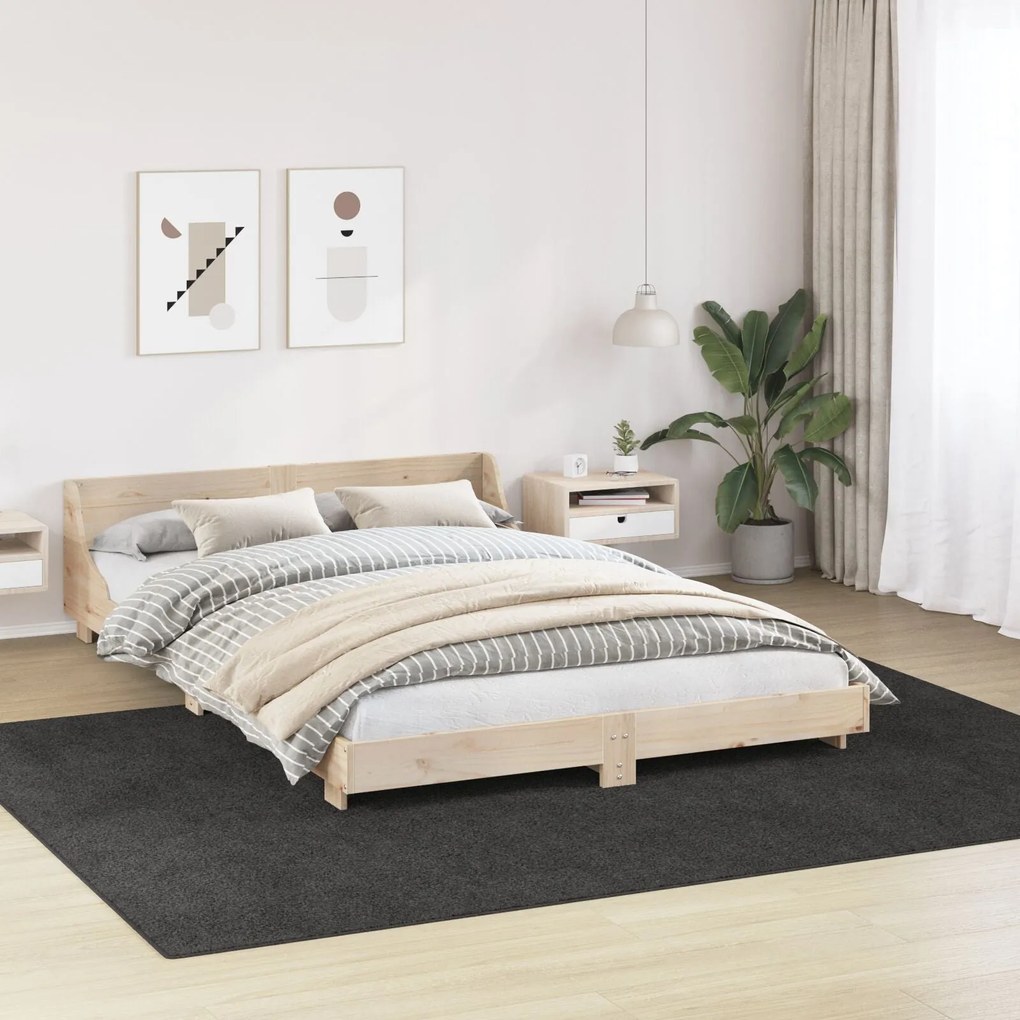 Tapete Shaggy vidaXL com Base de Látex Cinza Escuro 240x340 cm