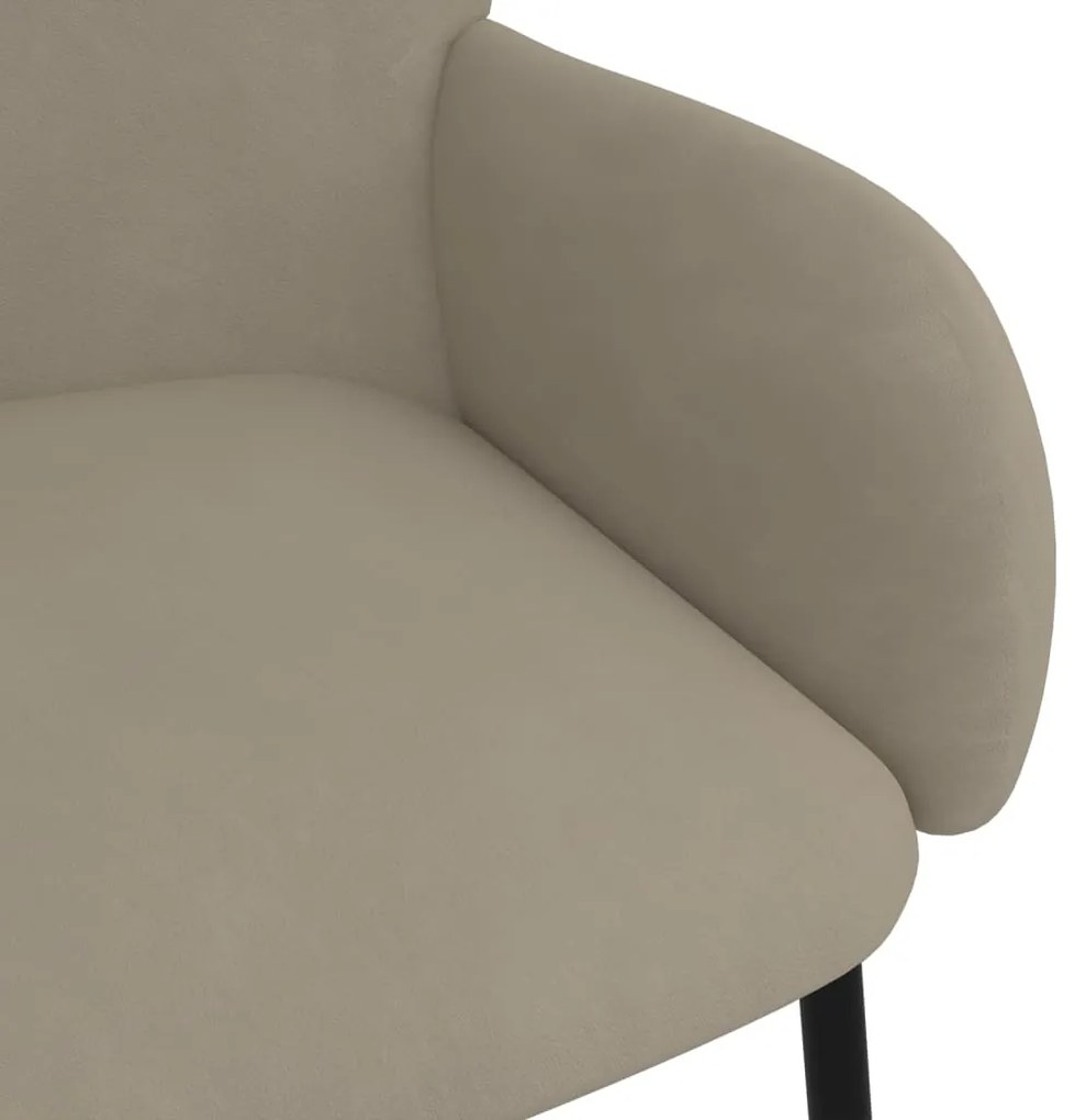 Cadeiras de jantar 2 pcs veludo cinzento-claro