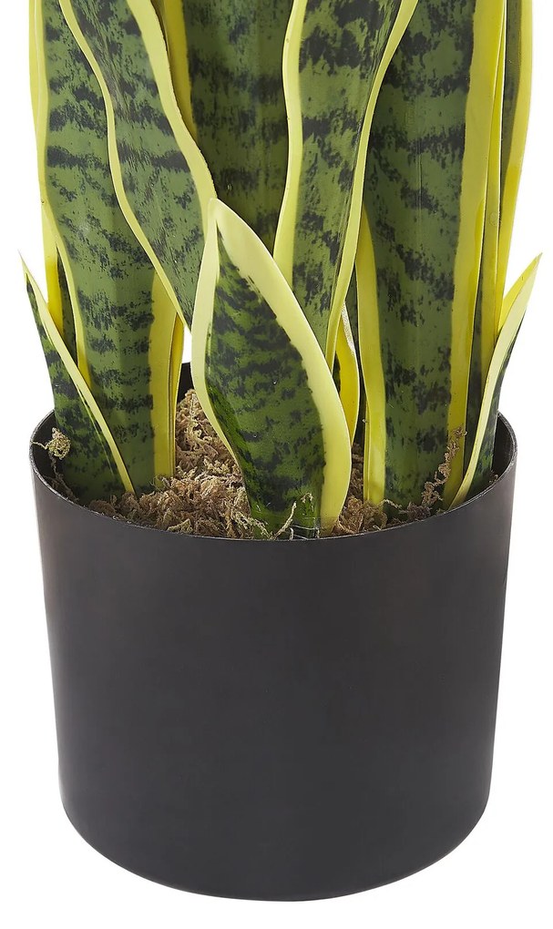 Planta artificial em vaso 63 cm SNAKE PLANT Beliani
