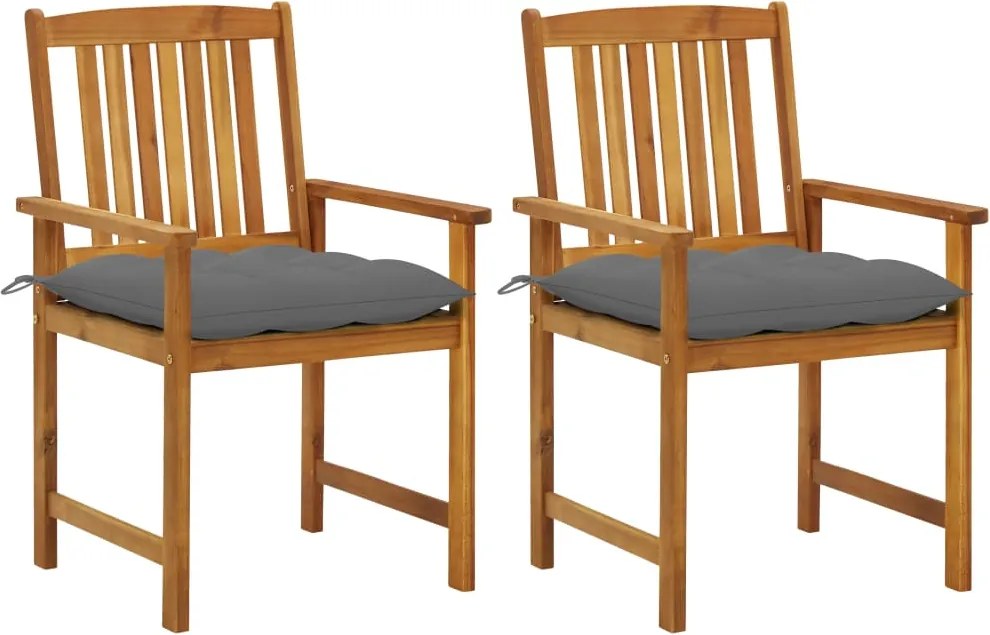 vidaXL Cadeiras de jardim com almofadões 2 pcs acácia maciça
