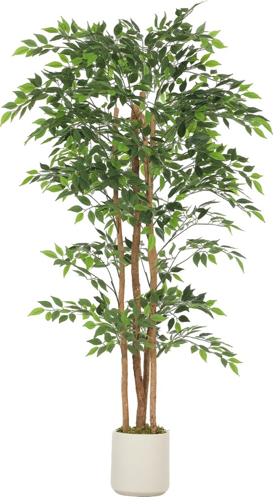 HOMCOM Banyan artificial Planta artificial com tronco de madeira maciça, vaso, para sala de estar, quarto, escritório 75 x 75 x 180 cm Verde | Aosom Portugal