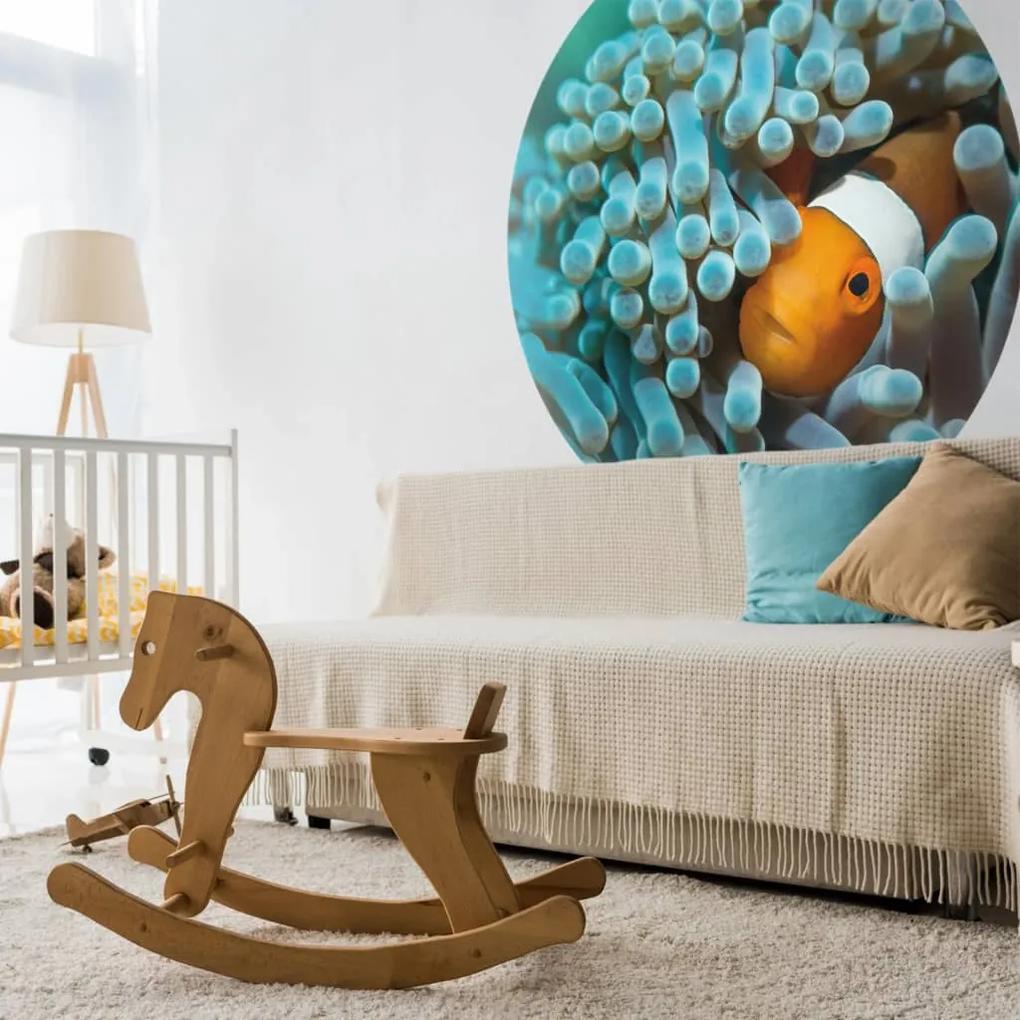 WallArt Papel de parede circular "Nemo the Anemonefish" 142,5 cm