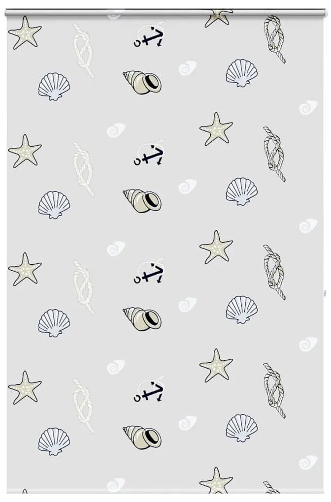 Rolo de Duche Estores cassete 160x240 cm Largura Tecido 156 cm