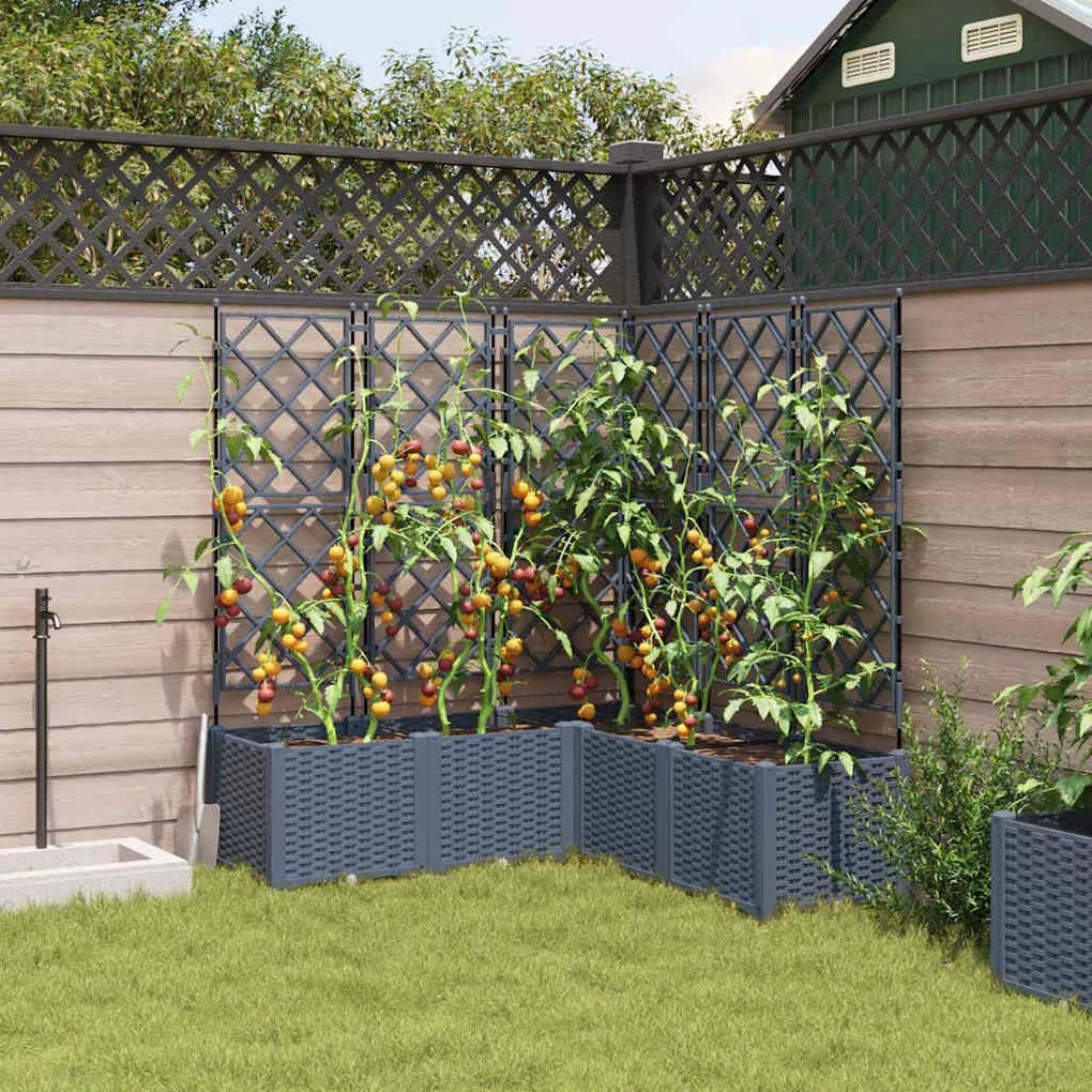 Jardineira com Treliça 5 pcs Cinzento-claro 120x120x143 cm