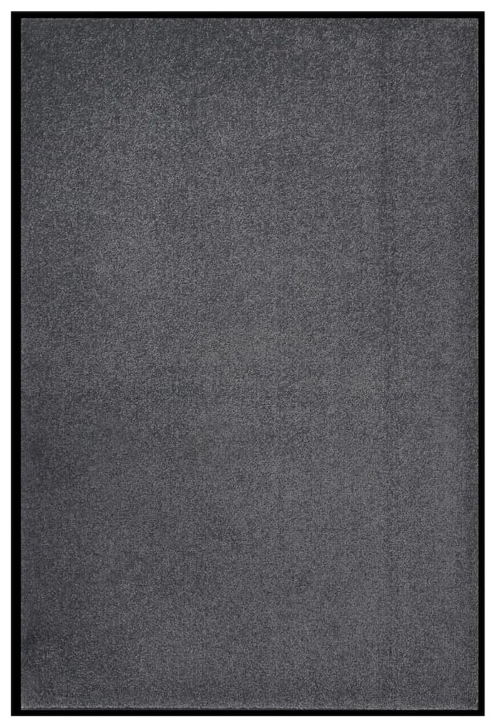 331594 vidaXL Tapete de porta 80x120 cm antracite