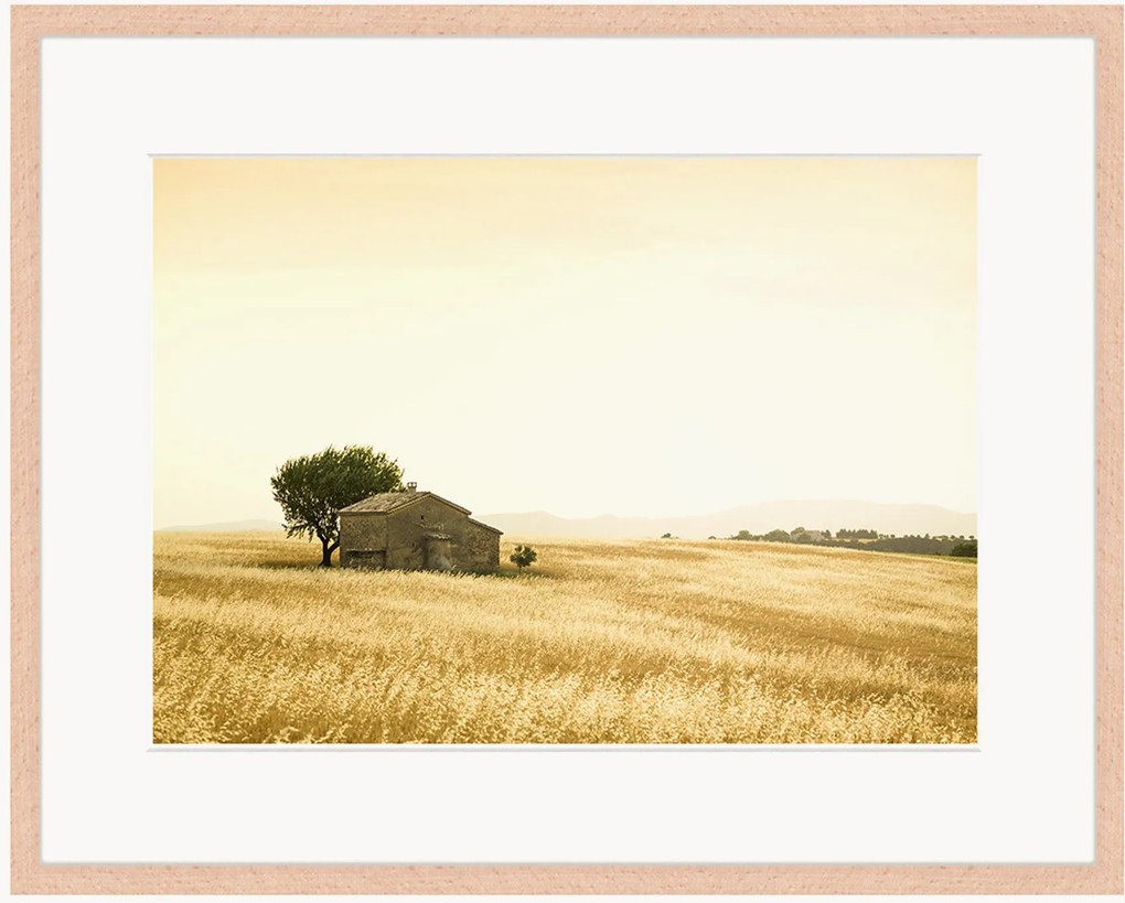 Impressão digital emoldurada Provencal Farm