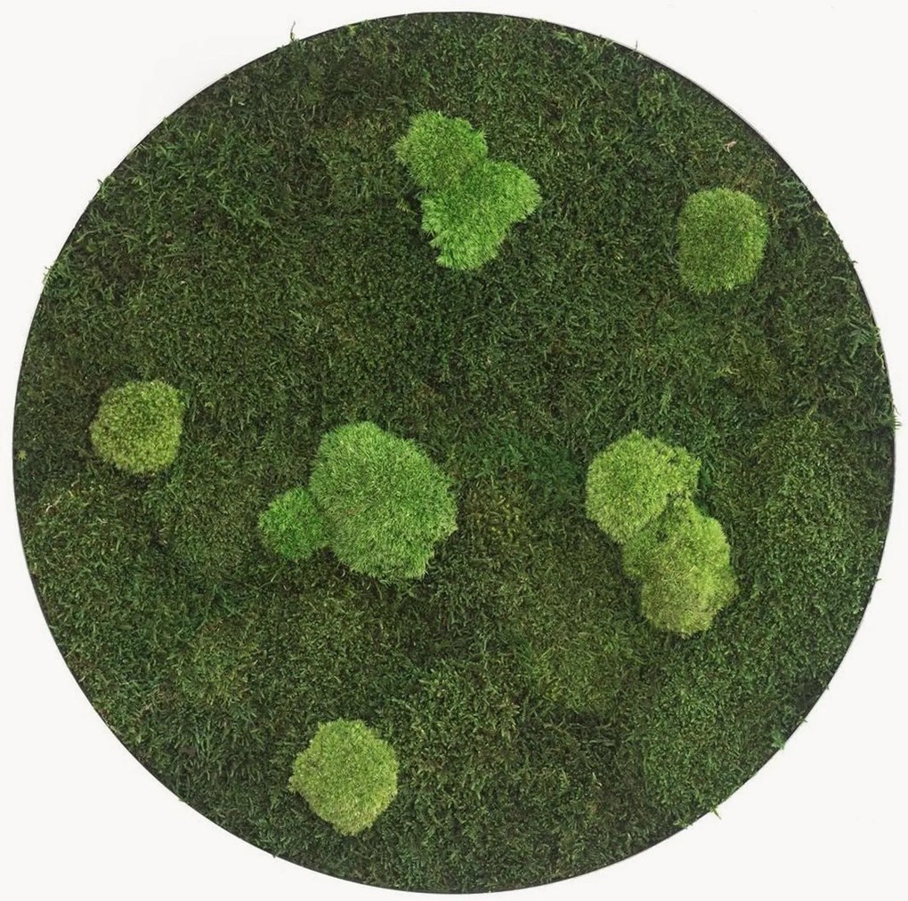 Quadro de parede artesanal com musgo circular Forest & Ball