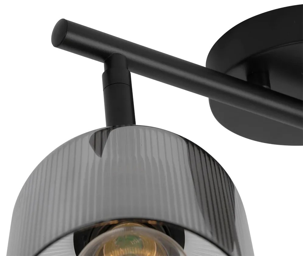 Candeeiro de teto preto com vidro fumê 2 luzes ajustáveis - Laura Art Deco