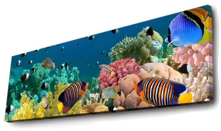 Pintura Decorativa em Tela com Luzes LED 3090DACT-13 – Multicolor – 30