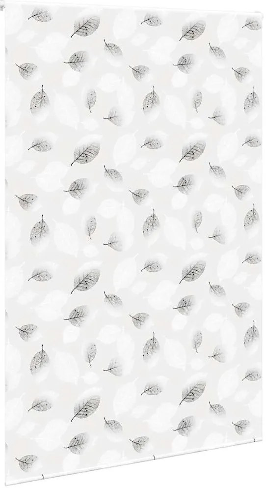 Rolo de Duche Estores 150x240 cm Largura Tecido 146 cm