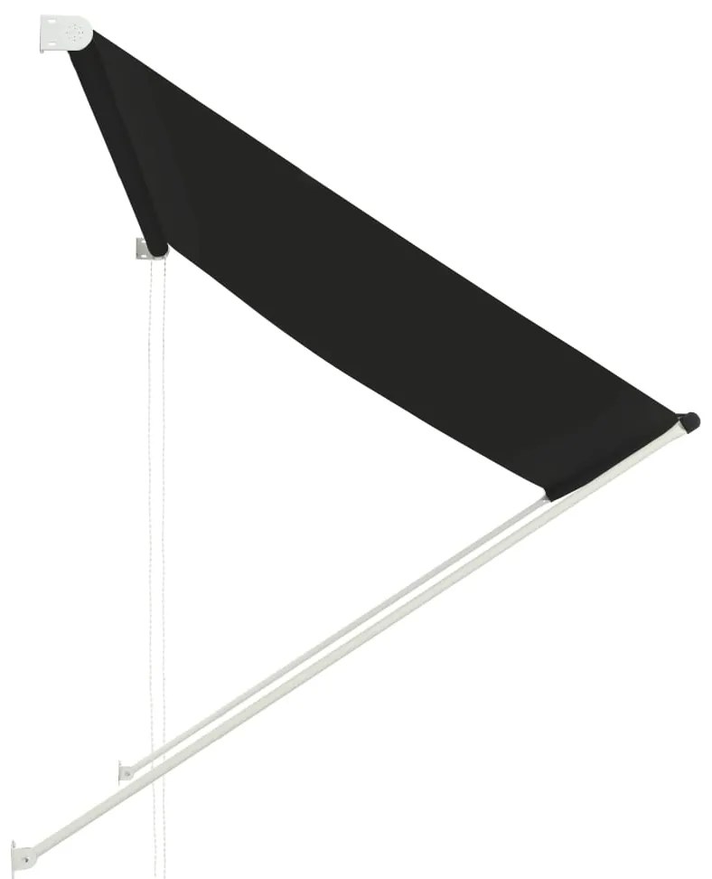 Toldo retrátil 200x150 cm antracite