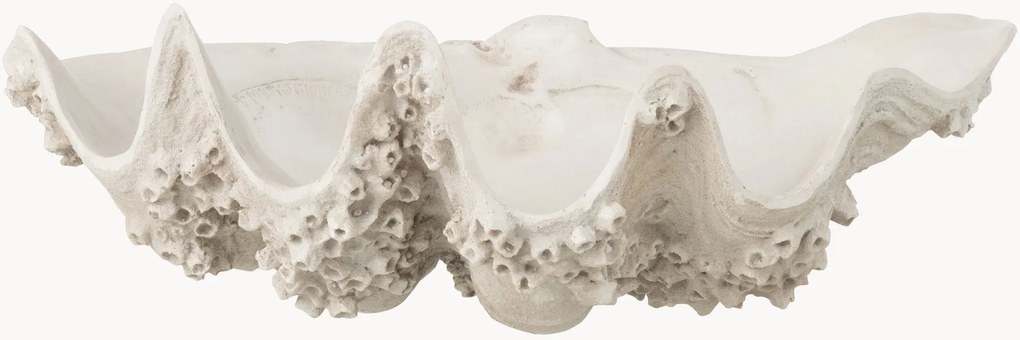 Taça decorativa Seashell