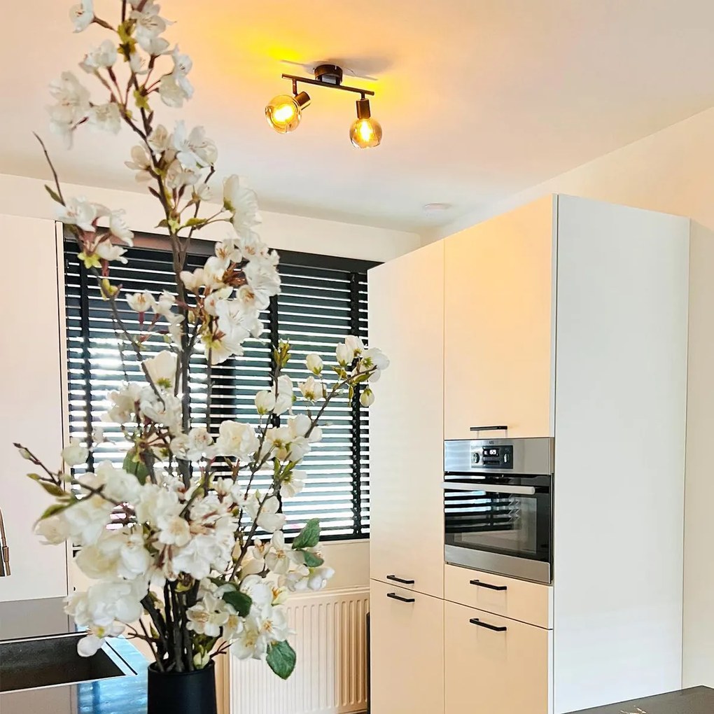 Plafon Art Deco preto com vidro fumê 2-luzes - Vidro