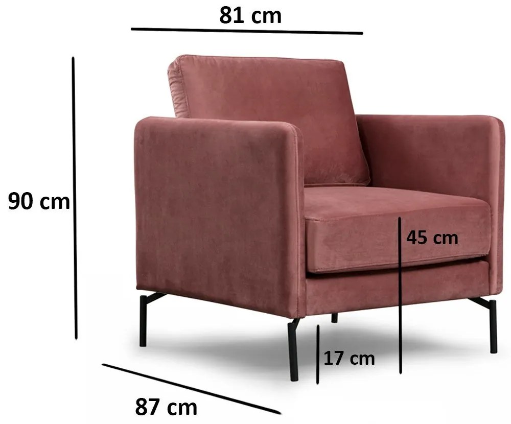 Cadeira Wing Sino – Rosa – 81x87x90 cm