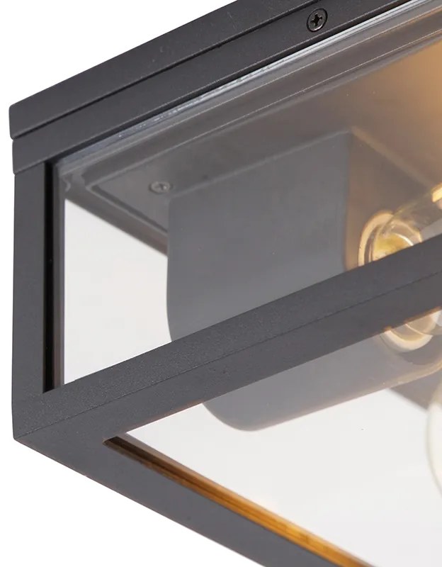 Candeeiro de teto industrial preto IP44 2 luzes - Charlois