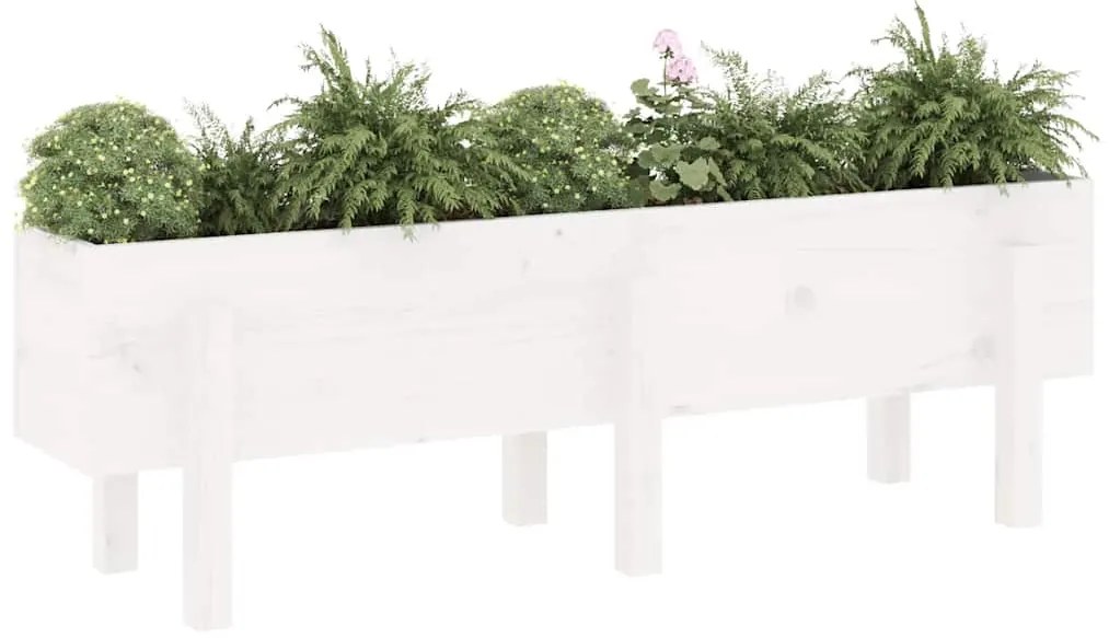 Canteiro elevado de jardim 121x30x38 cm pinho maciço branco
