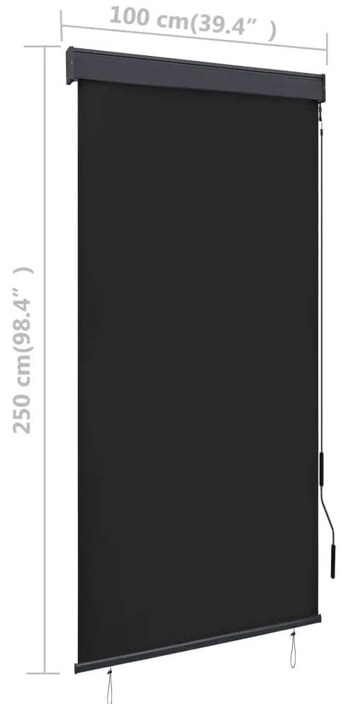 Estore de rolo para exterior 100x250 cm antracite