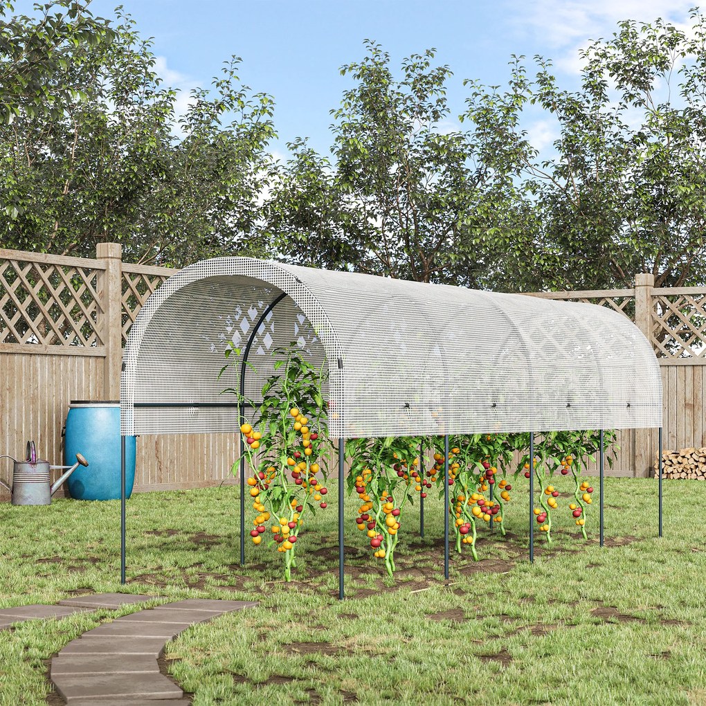 Estufa de jardim para tomates 4 x 1,20 x 1,70 m, com 5 arcos de aço - cobertura em PE