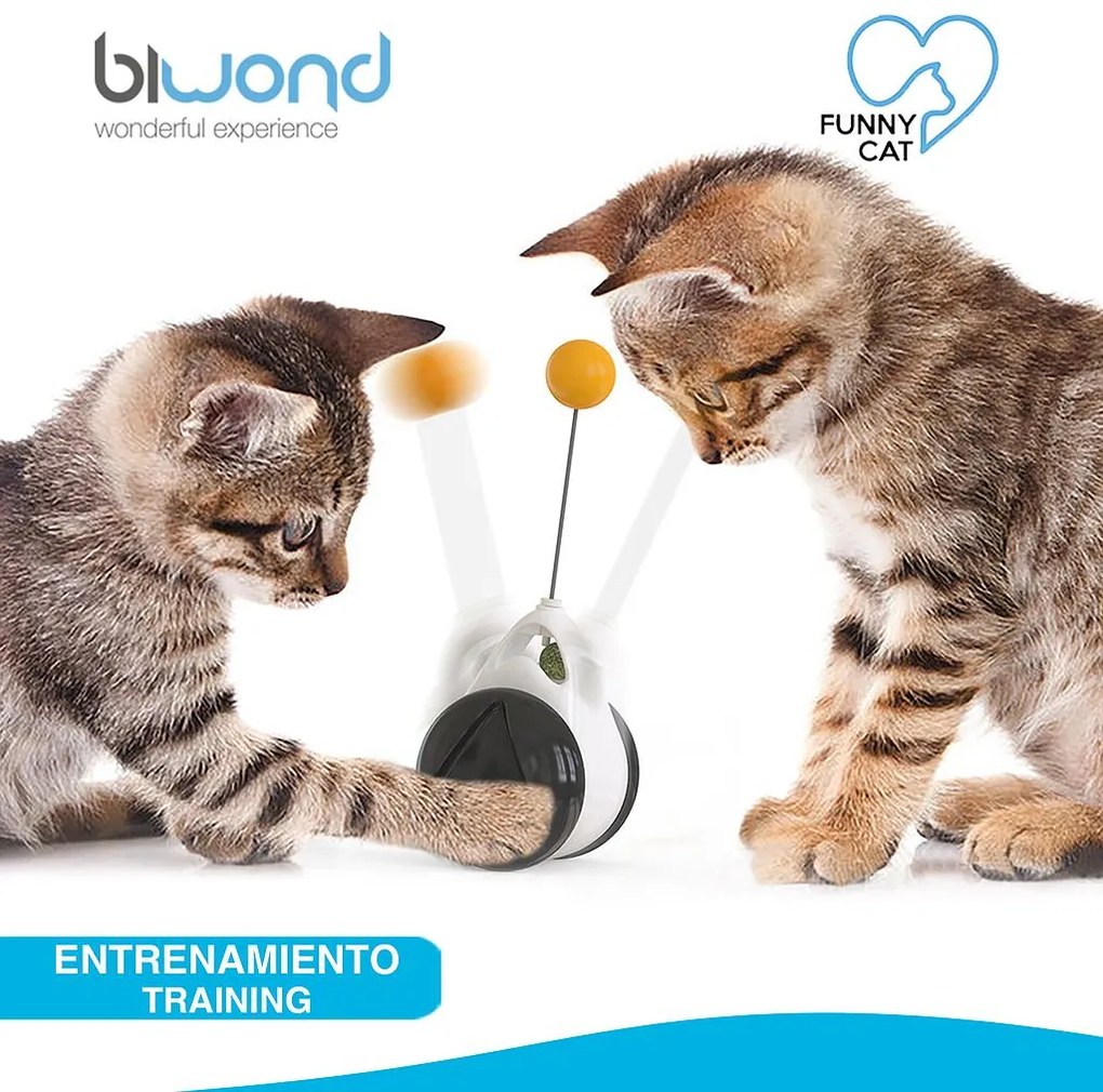 Brinquedo interativo para animais de estimação para Gatos Funny Cat