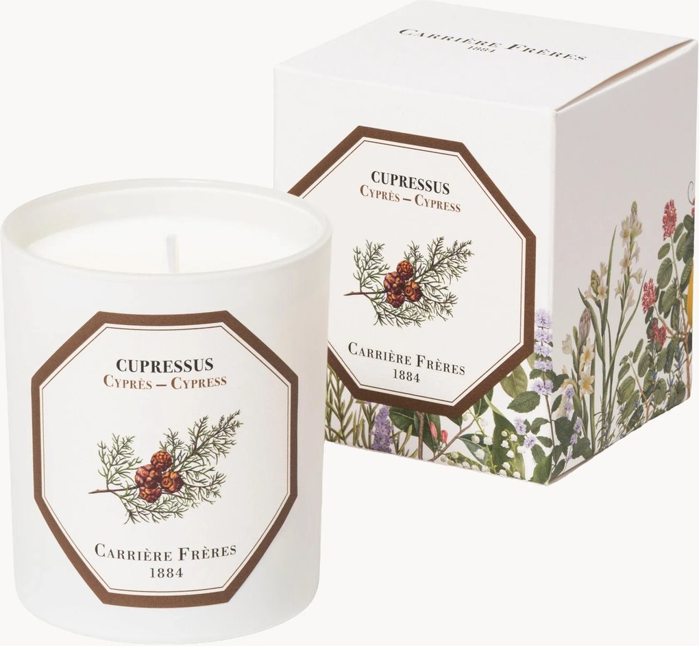 Vela perfumada Cypress (madeira, fresco, resinoso)