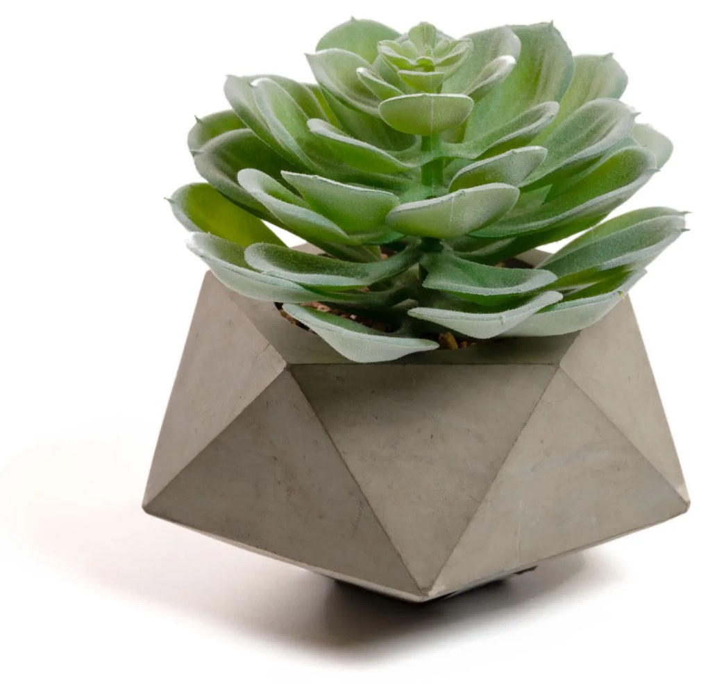 Kave Home - Planta artificial Echeveria glauca