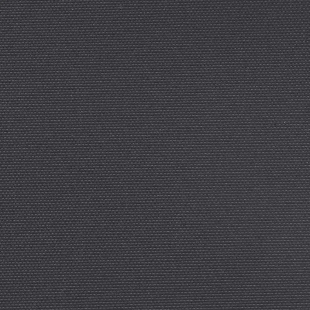 Toldo lateral retrátil 160x600 cm preto