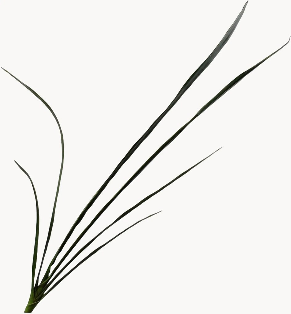 Flores artificiais Cymbidium, conjunto de 2