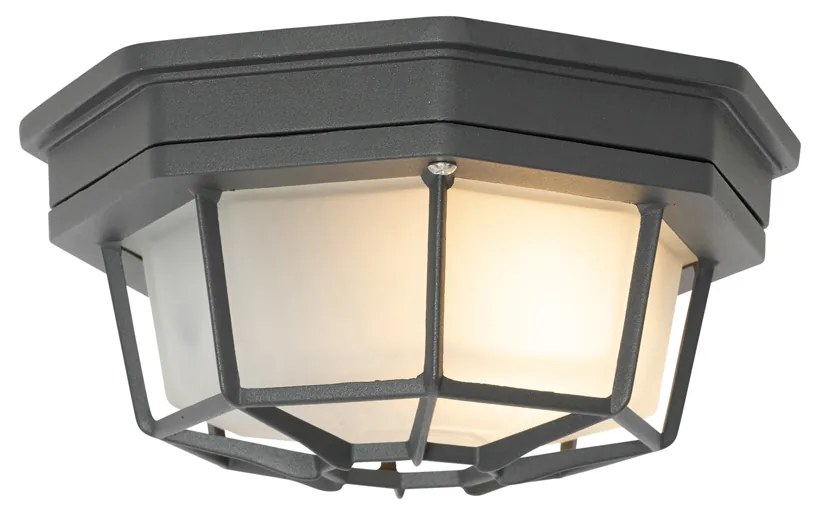 Candeeiro de teto rústico cinzento escuro 21,3 cm IP44 - Bri