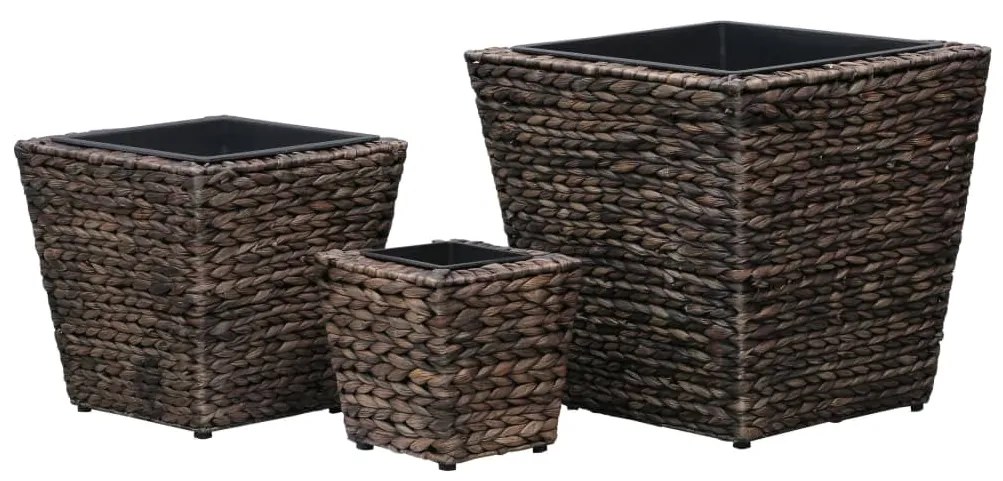 Vasos/floreiras 3 pcs jacinto de água castanho