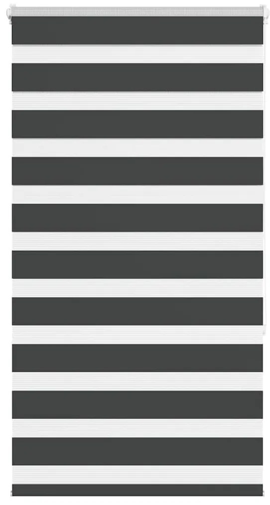 Cortina de zebra 70x150 cm largura do tecido 65,9 cm poliéster