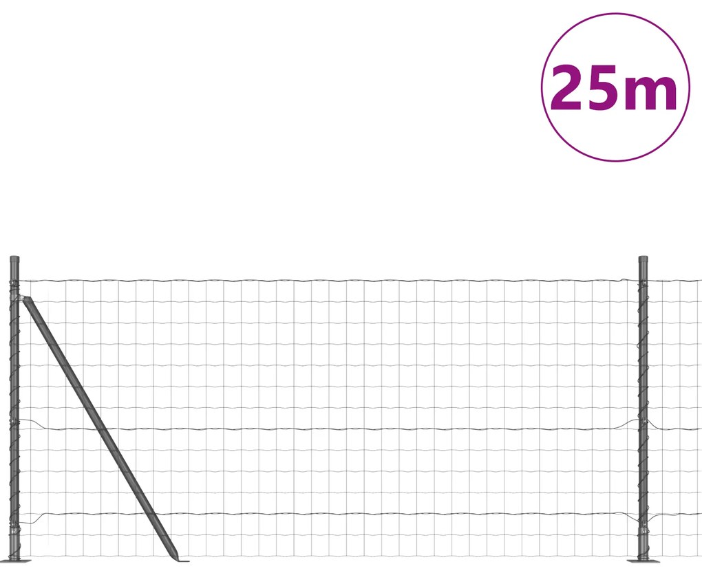 Cerca Euro Conjunto de 2 Cinza Metal 25 x 1 m Cerca Euro