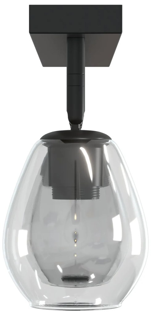 Luzes de Teto com Abajur de Vidro Ajustável em Anthracite, E27