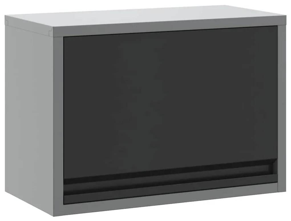 Armário de Ferramentas VidaXL Para Montar na Parede com Porta Elevada