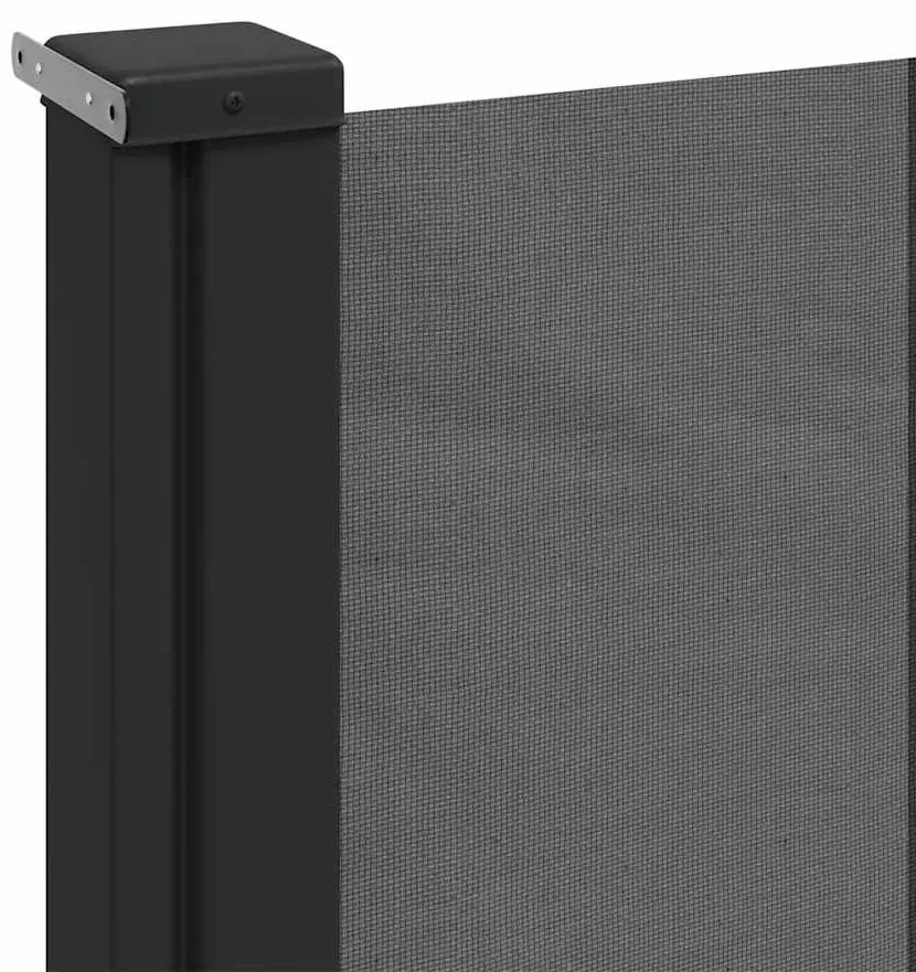 Toldo lateral retrátil 200x600 cm antracite