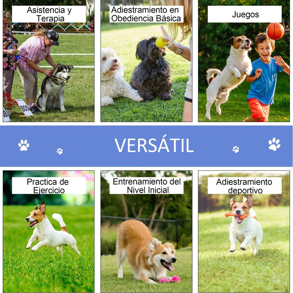 PawHut Conjunto de treino de agilidade para cães com bolsa de transpor