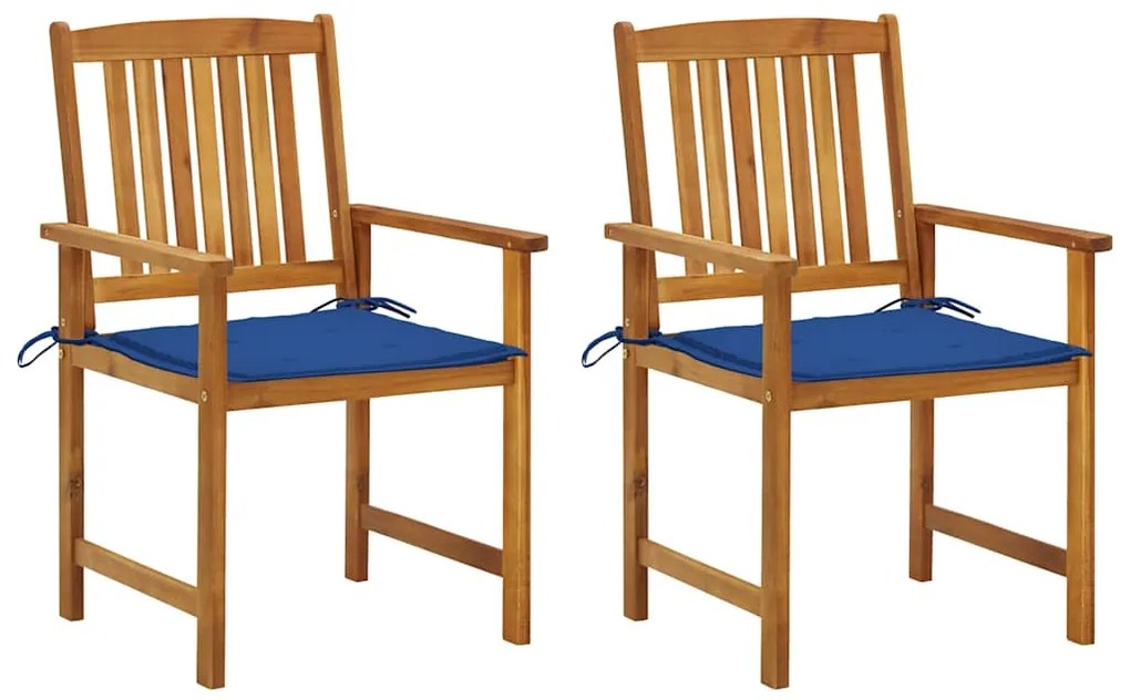 vidaXL Cadeiras de jardim com almofadões 2 pcs acácia maciça