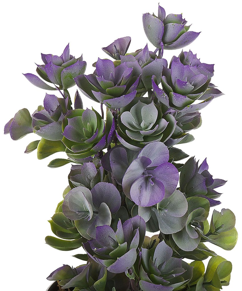 Planta artificial em vaso 31 cm HOUSELEEK PLANT Beliani