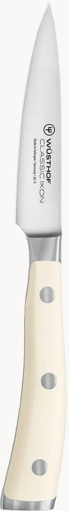 Faca de cozinha em aço inoxidável Classic Icon