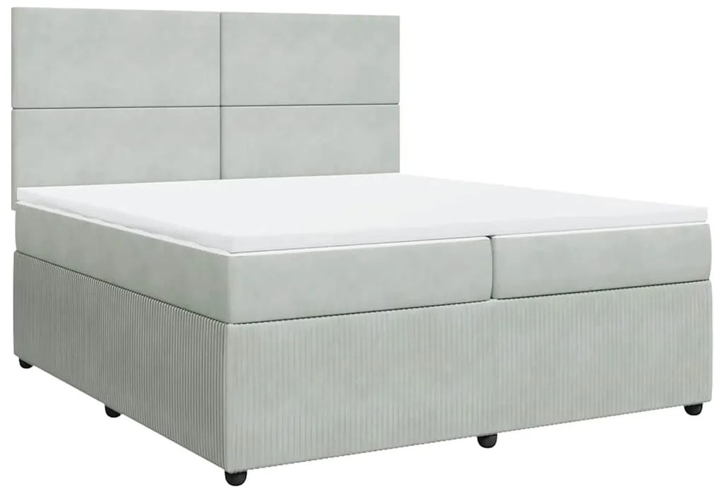 Cama com molas/colchão 200x200 cm veludo cinzento-claro