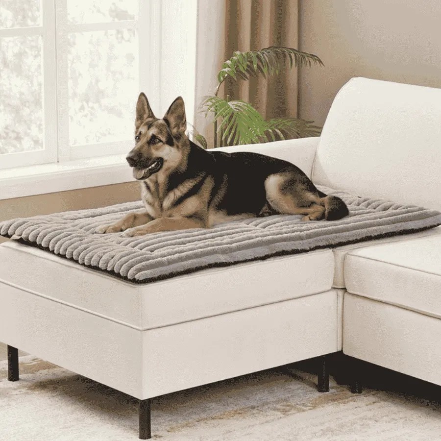 Manta para cães S 120 x 75 cm lavável na máquina cinzenta