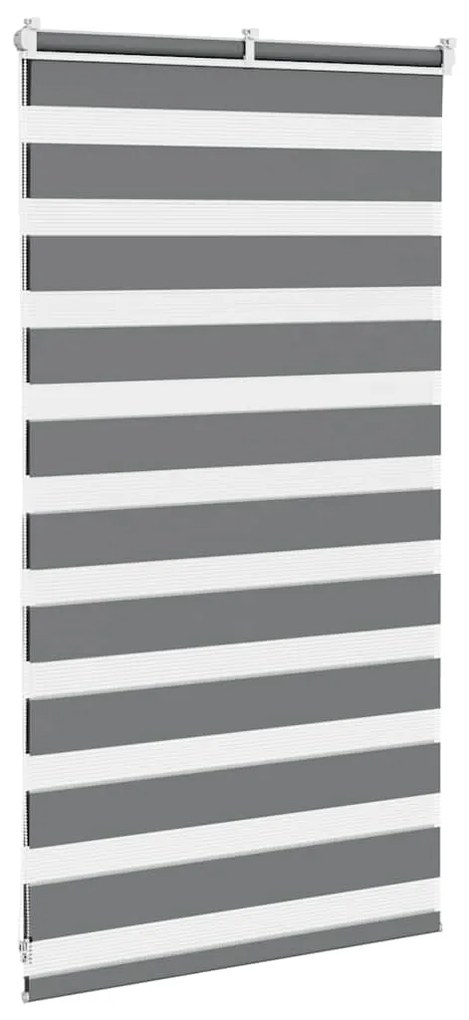 Cortina de zebra 75x100 cm largura do tecido 70,9 cm poliéster